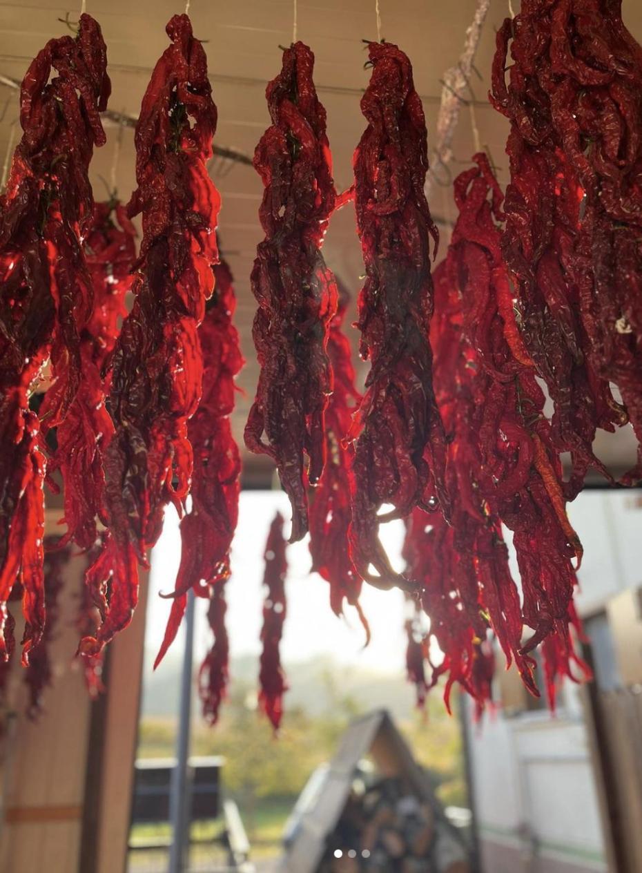 Agriturismo Il Riccio 蒙蒂基奥 外观 照片