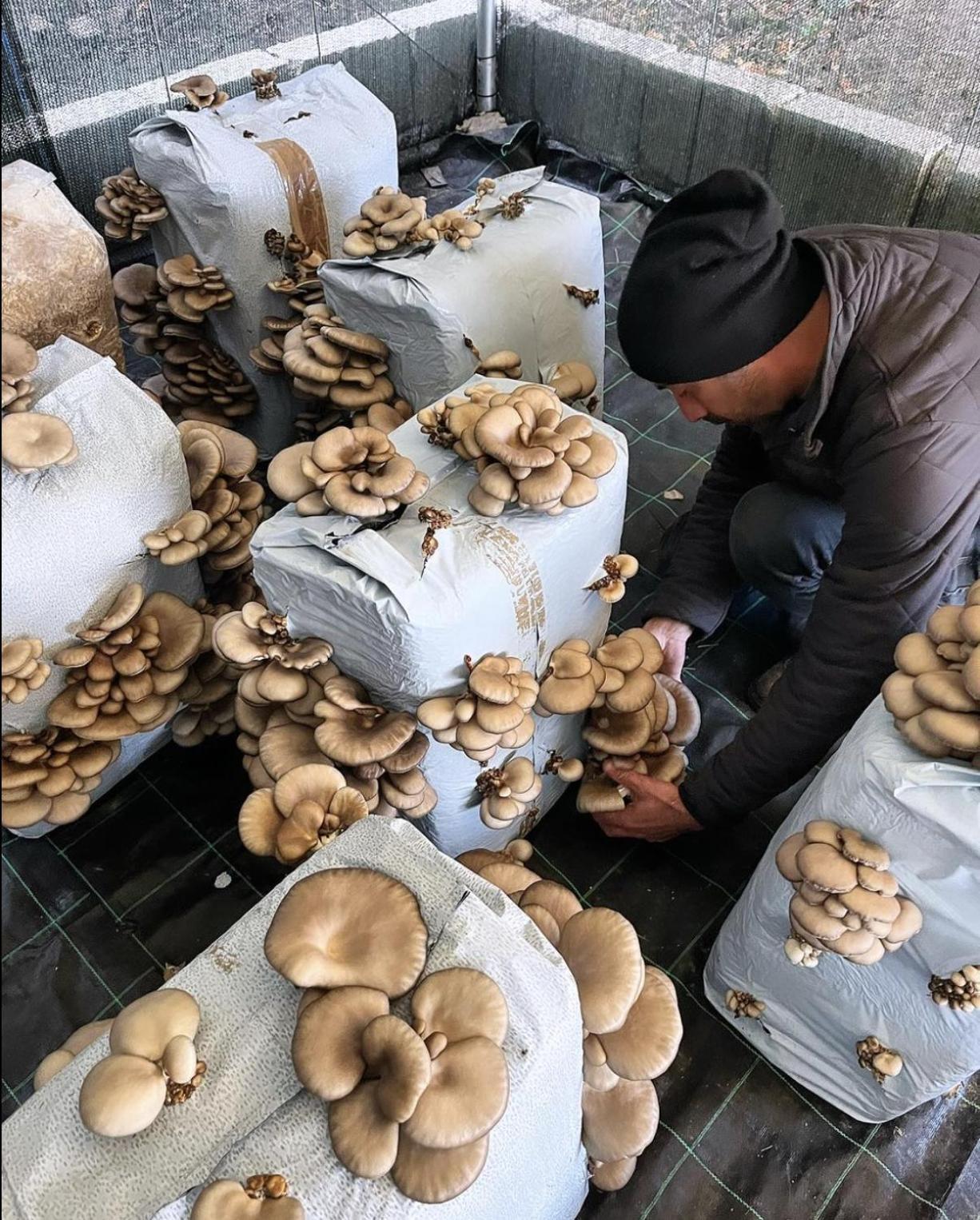 Agriturismo Il Riccio 蒙蒂基奥 外观 照片