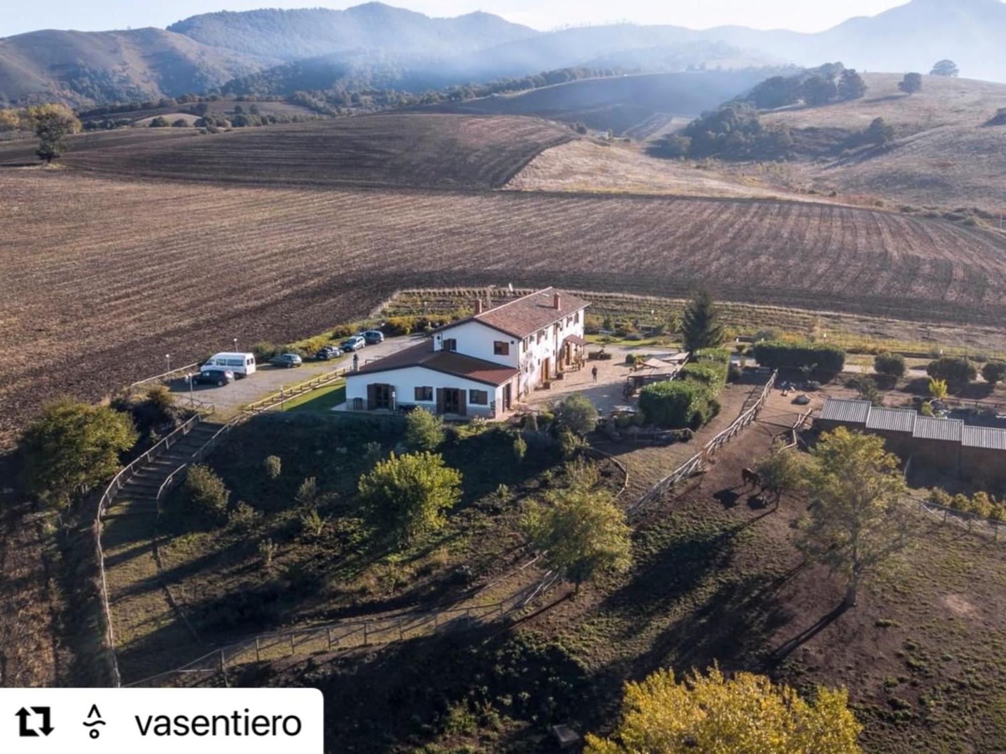 Agriturismo Il Riccio 蒙蒂基奥 外观 照片