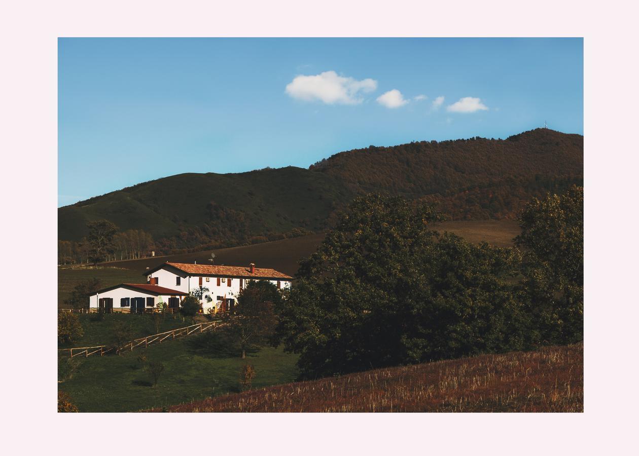 Agriturismo Il Riccio 蒙蒂基奥 外观 照片