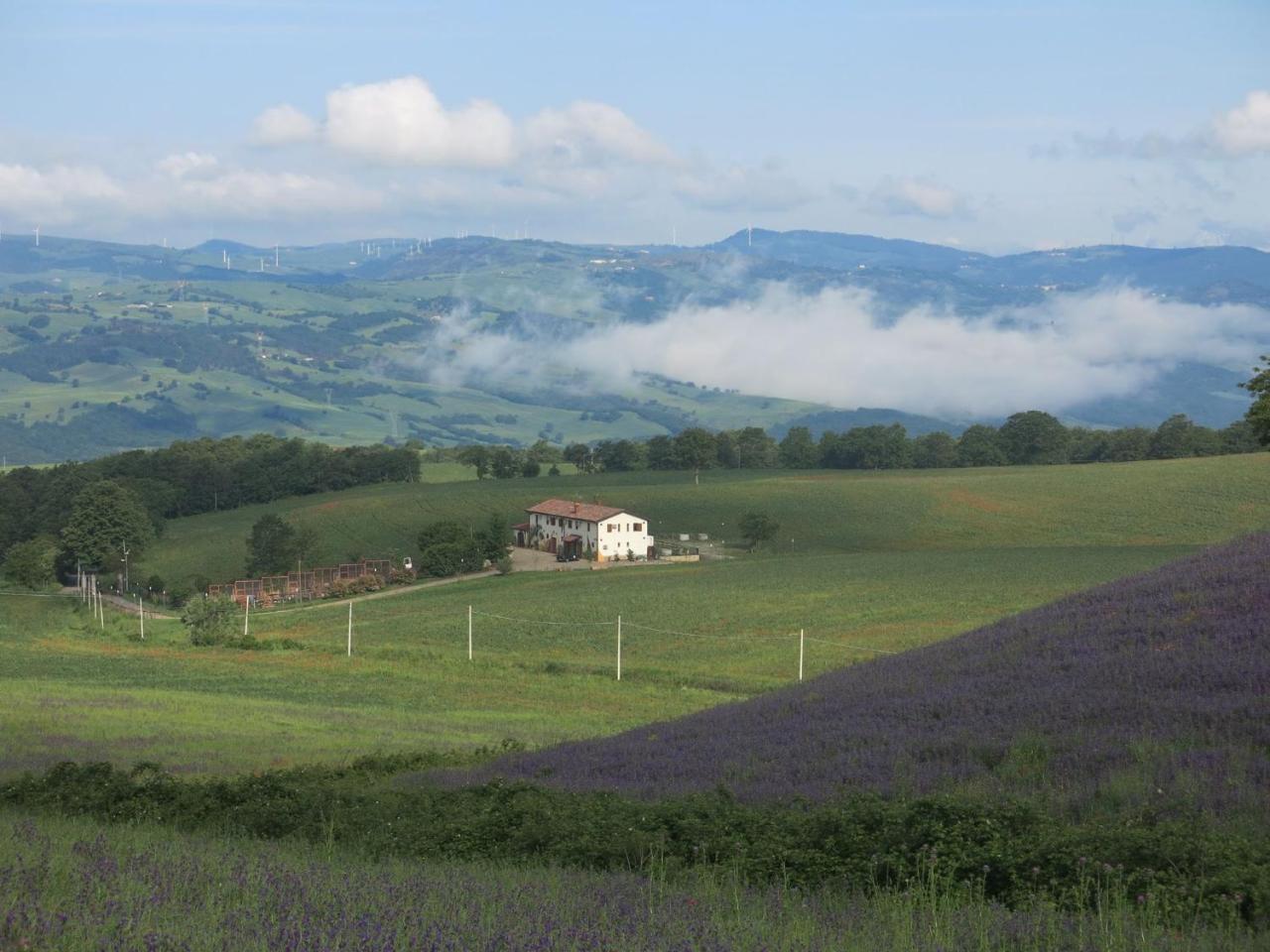 Agriturismo Il Riccio 蒙蒂基奥 外观 照片