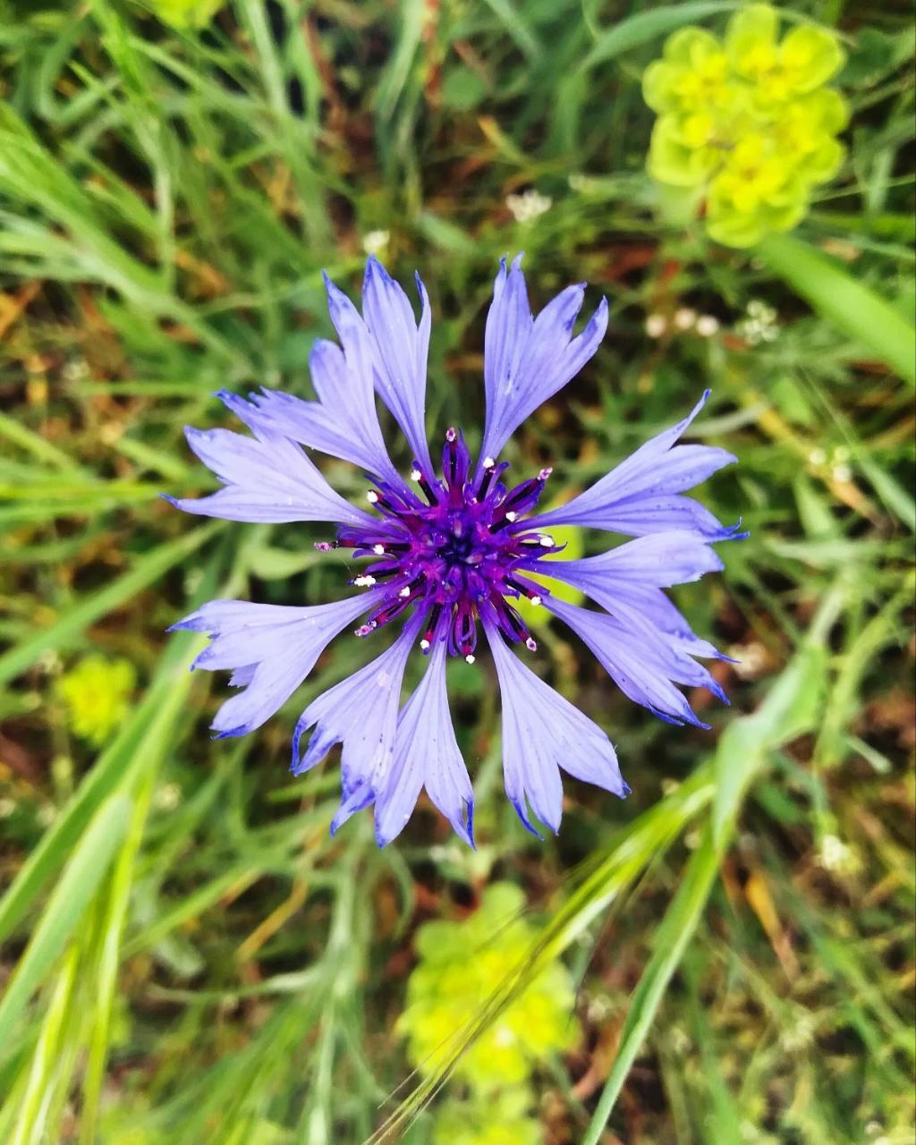 Agriturismo Il Riccio 蒙蒂基奥 外观 照片